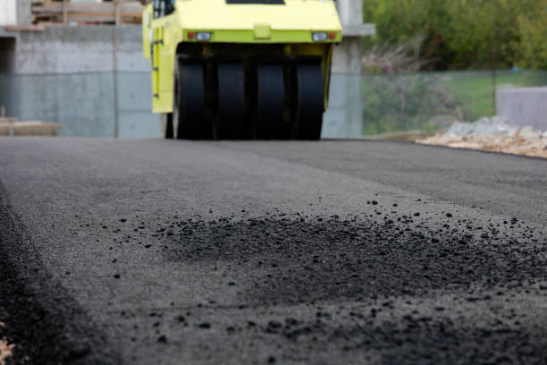 Best Custom Driveway Pavers  in Saddle River, NJ