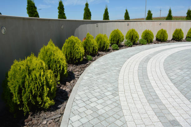 Best Driveway Pavers Near Me  in Saddle River, NJ